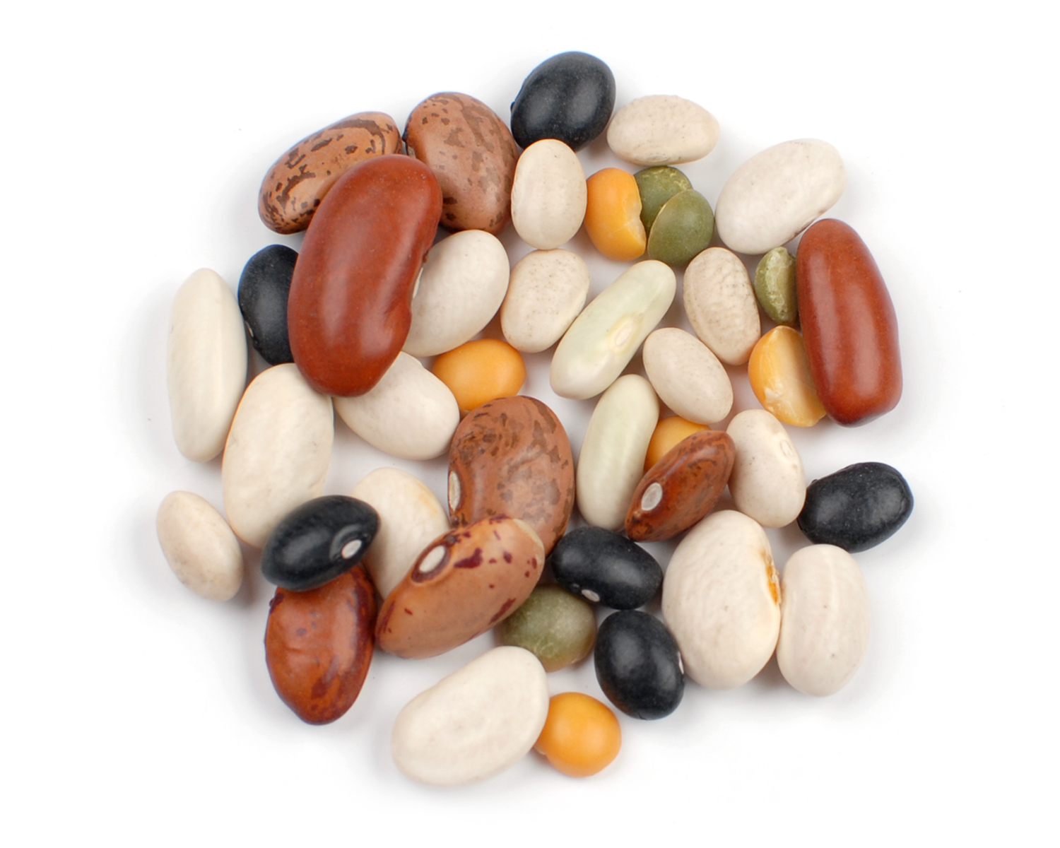 Beans – wholesale supply from Global Trade Wholesale Ltd
