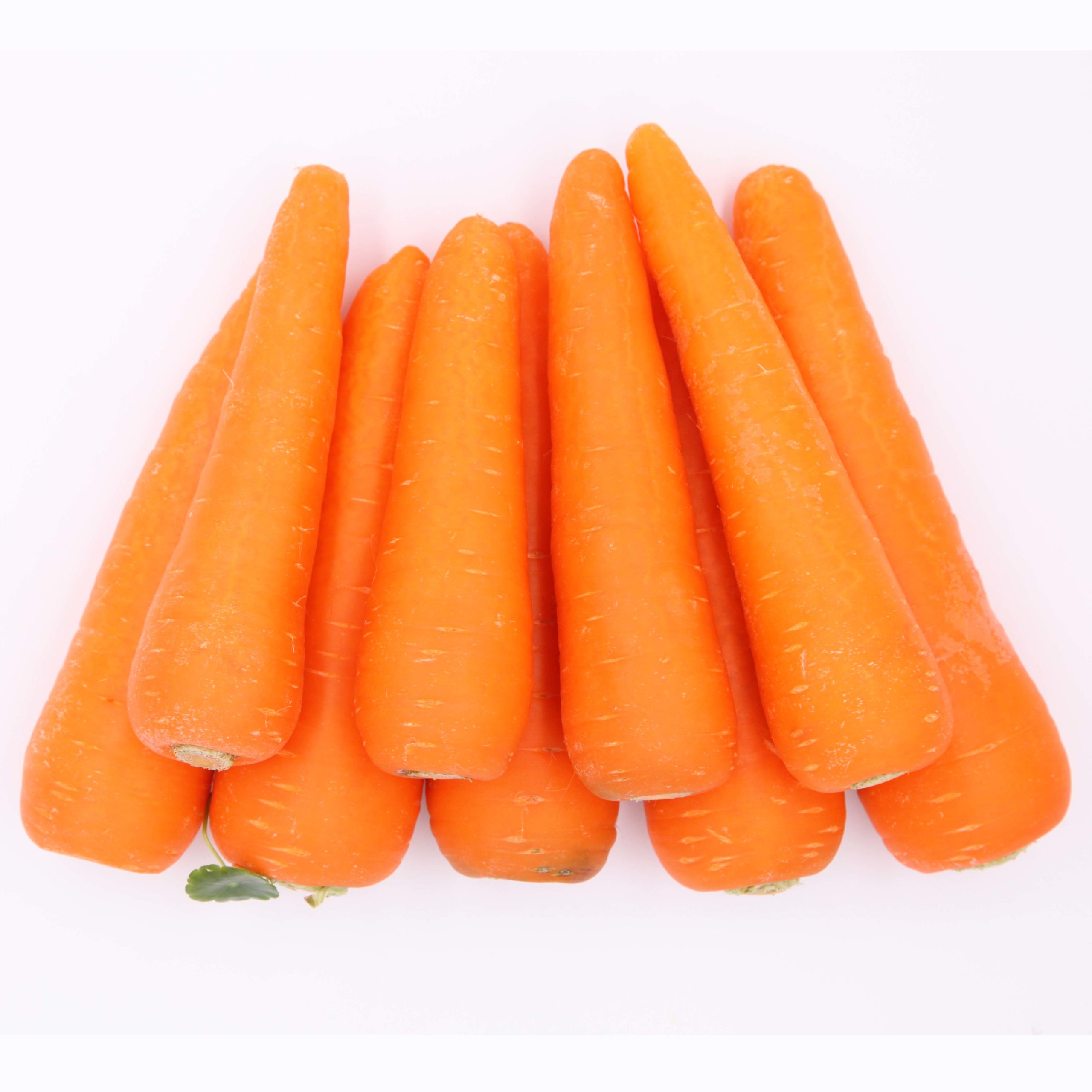 Fresh Carrot – wholesale supply from Global Trade Wholesale Ltd