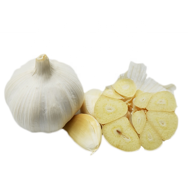 Fresh Garlic – wholesale supply from Global Trade Wholesale Ltd