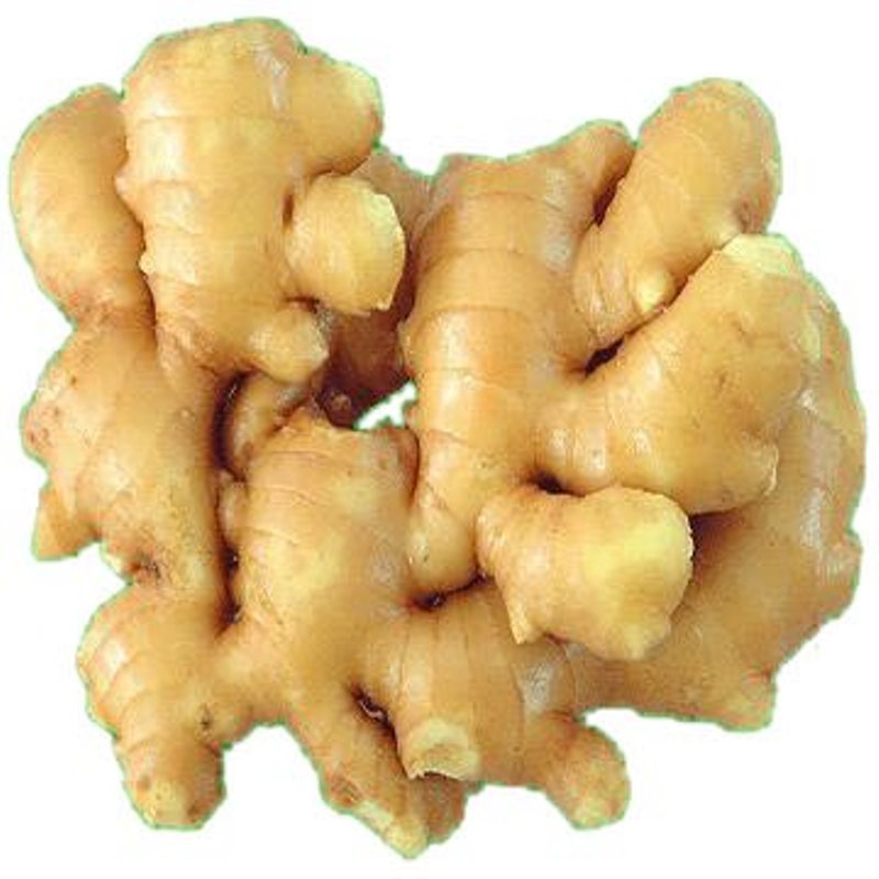 Fresh Ginger – wholesale supply from Global Trade Wholesale Ltd