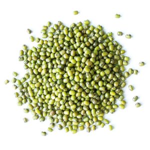 Green Mung Beans – wholesale supply from Global Trade Wholesale Ltd