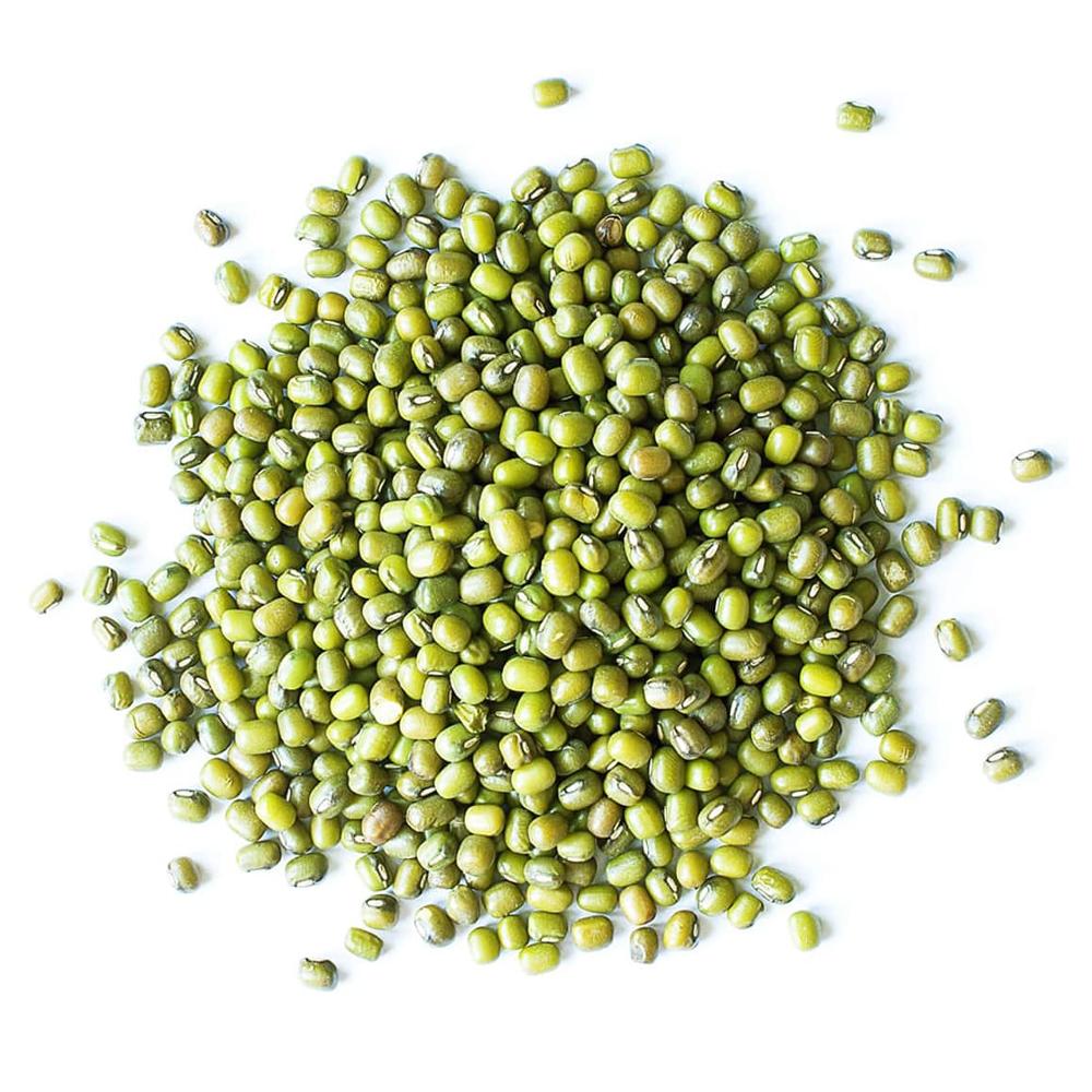 Green Mung Beans – wholesale supply from Global Trade Wholesale Ltd
