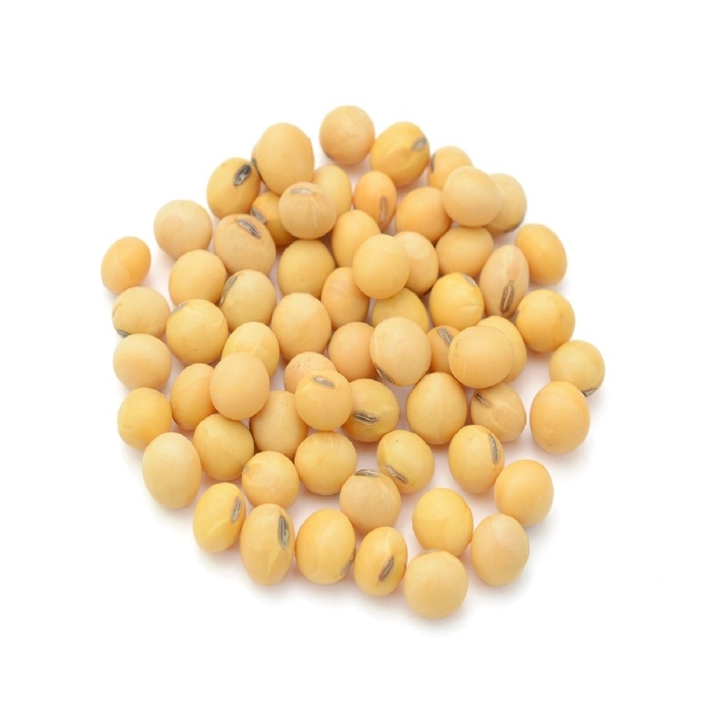 Soybean – wholesale supply from Global Trade Wholesale Ltd