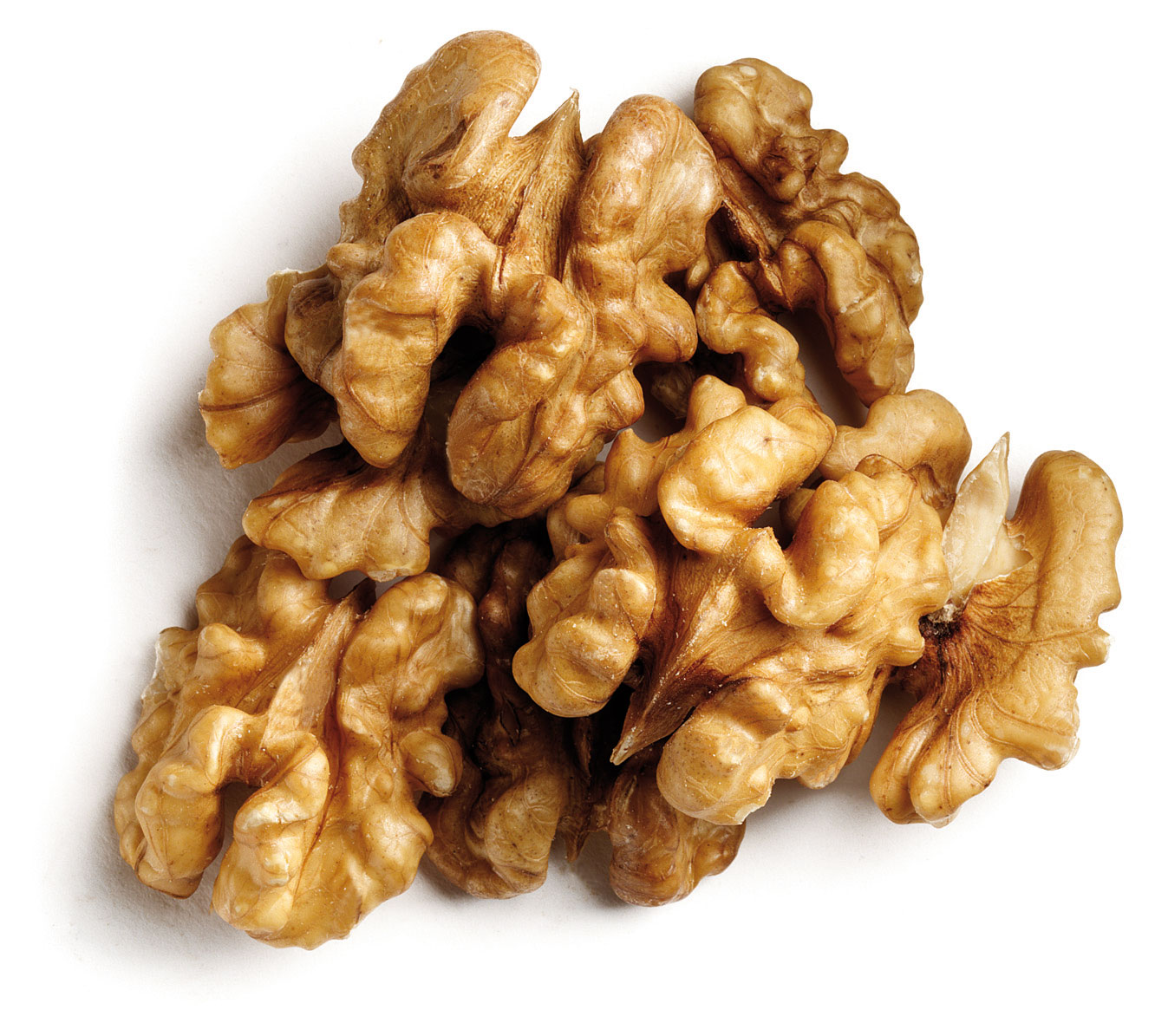 Walnut – wholesale supply from Global Trade Wholesale Ltd