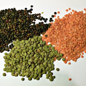 Lentil – wholesale supply from Global Trade Wholesale Ltd